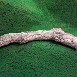 Sustainably harvested cork bark for reptile, invertebrate, bioactive enclosures and planted terrariums.