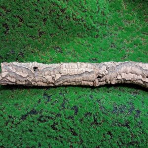 Sustainably harvested cork bark for reptile, invertebrate, bioactive enclosures and planted terrariums.
