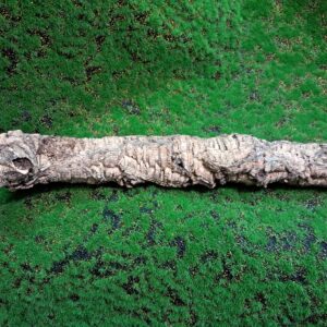 Sustainably harvested cork bark for reptile, invertebrate, bioactive enclosures and planted terrariums.
