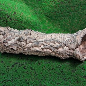 Sustainably harvested cork bark for reptile, invertebrate, bioactive enclosures and planted terrariums.