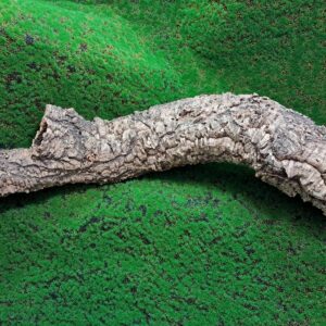 Sustainably harvested cork bark for reptile, invertebrate, bioactive enclosures and planted terrariums.