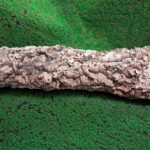 Sustainably harvested cork bark for reptile, invertebrate, bioactive enclosures and planted terrariums.