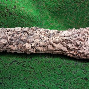 Sustainably harvested cork bark for reptile, invertebrate, bioactive enclosures and planted terrariums.