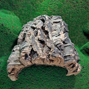 Sustainably harvested cork bark for reptile, invertebrate, bioactive enclosures and planted terrariums.