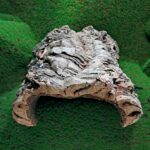 Sustainably harvested cork bark for reptile, invertebrate, bioactive enclosures and planted terrariums.
