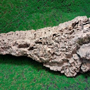 Sustainably harvested cork bark for reptile, invertebrate, bioactive enclosures and planted terrariums.