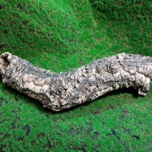 Sustainably harvested cork bark for reptile, invertebrate, bioactive enclosures and planted terrariums.