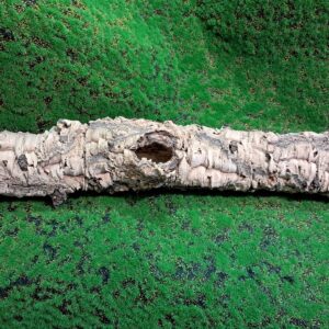Sustainably harvested cork bark for reptile, invertebrate, bioactive enclosures and planted terrariums.