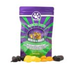 Pangea Complete Crested Gecko Diet Fig & Insects for fruit-eating geckos.